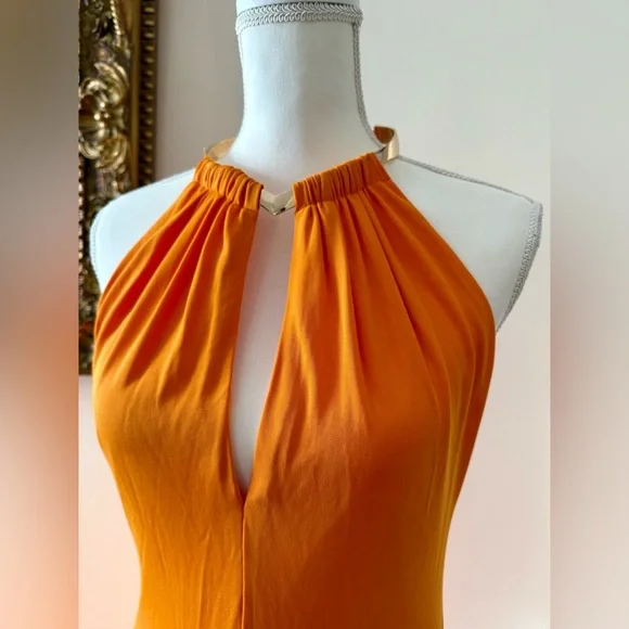 Halston Heritage Orange Maxi Dress - Picture 5 of 10